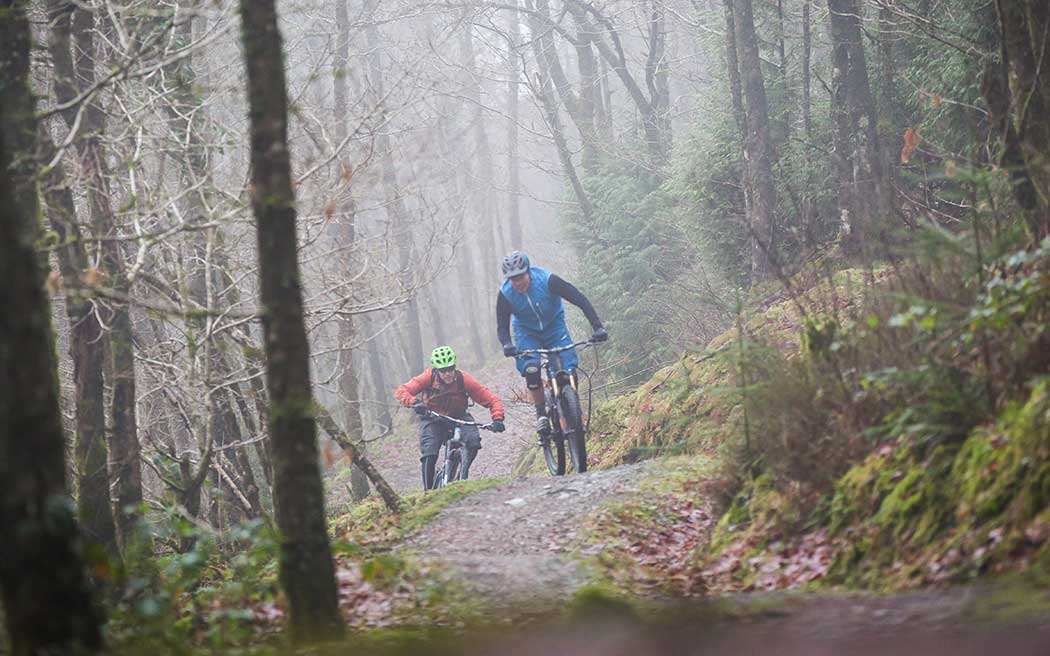 brechfa forest mountain biking